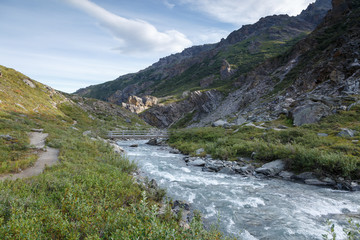 Fototapeta na wymiar Alaskan landscape picture of Denali