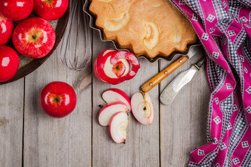 Apple pie in a rustic style