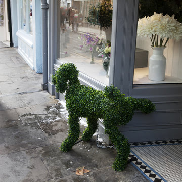 Dog from artificial grass, lifts his foot on the street near the