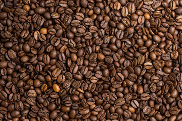 Roasted coffee beans