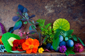 Autumn Leaves, Flowers, Berries