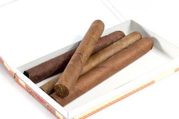 Cigars in a box