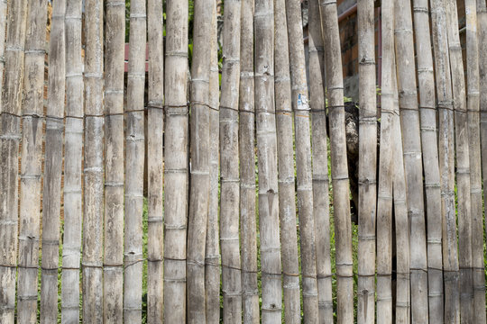 Textura de bahareque - ca&ntilde;a. 