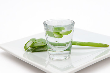 Aloe vera plant