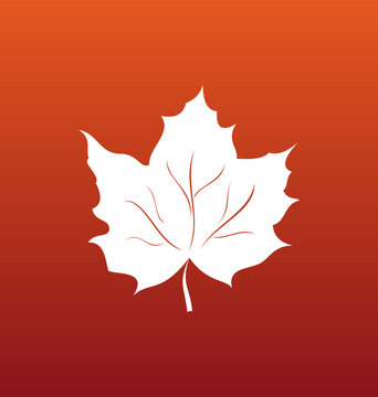 Maple Leaf on Orange Background