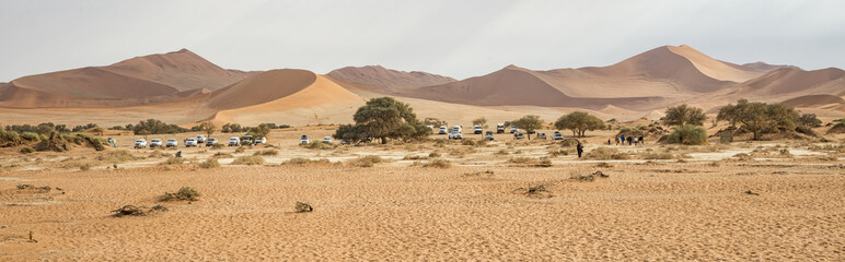 Naklejka na ściany i meble Deserto del Namib