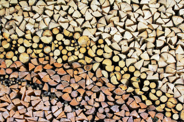 Aufgeschichtetes Brennholz aus verschiedenen Holzarten