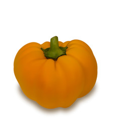 Photo Realistic Pumpkin Vegetable