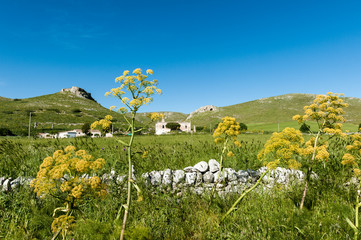 Castello del Garagnone in territorio di Spinazzola, nel Parco Nazionale dell'Alta Murgia in Puglia