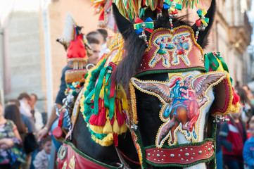 Close up view of the horse of a sicilian cart and its ornamental harness