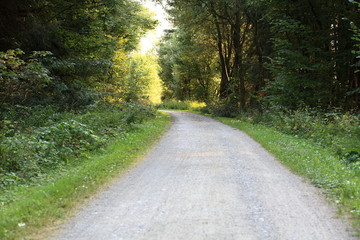 Waldweg