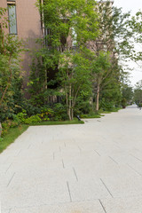 マンション街の植栽