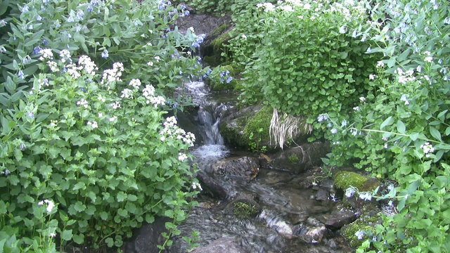 Waterfall mountain stream HD