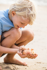Happy child at beach collecting sea shells