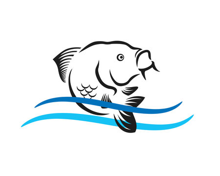 Carp fishing logo, perfect for fish supplier company and brand