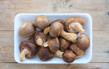 Shiitake mushroom on wooden table