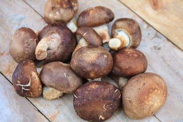 Shiitake mushroom on wooden table