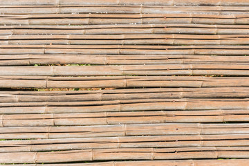 Bamboo Texture background