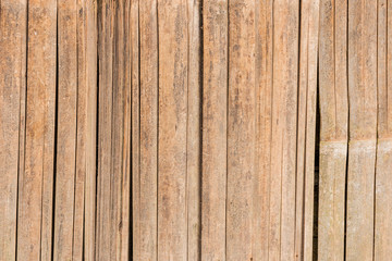 Bamboo Texture background
