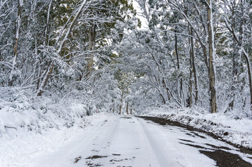 Snow in Australia