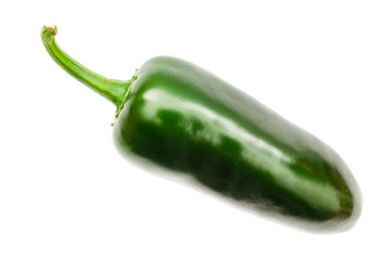 Jalapenos frisch
