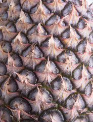Fototapeta premium pineapple or pineapple skin on a background.