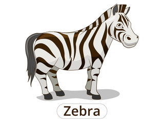Zebra african savannah animal cartoon vector 