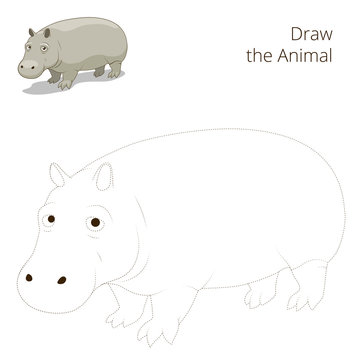 Draw the animal educational game for hippopotamus 