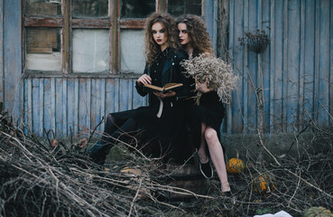 Two vintage witches gathered eve of Halloween