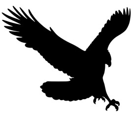 Adler im Sturzflug Silhouette