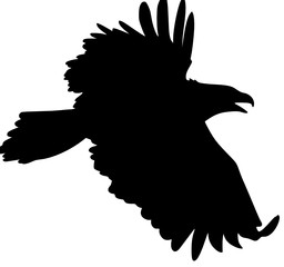 Fliegender Adler Silhouette