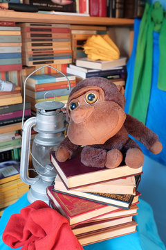 Colorful books and monkey pelouche  in the study