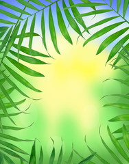 Green leaves of fern over bright nature background