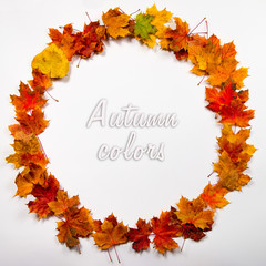 Autumn leaves round frame
