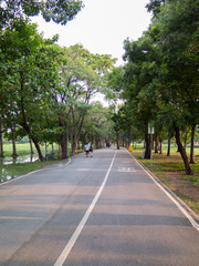 view of bike road in a park