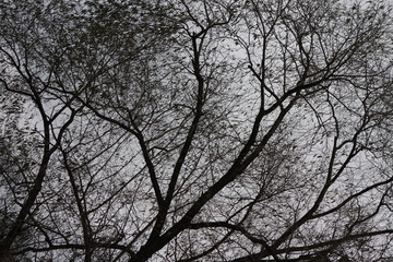 мрачная осень