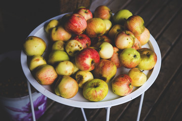 Bowl with autumn apples in the village