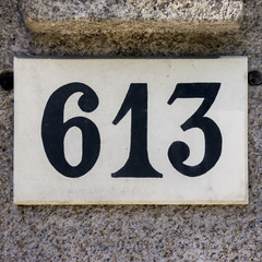 Number 613