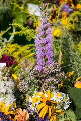 handmade  beautiful bouquets from flowers and herbs