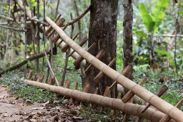 Fototapeta premium Balinesisches Bambusleiter