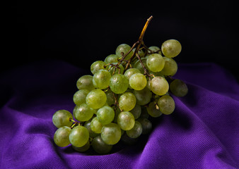 Italian white grapes on purple cloth with dark background