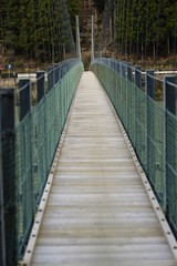 Fototapeta premium つり橋