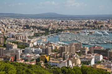 Fototapeta premium Panorama Palma de Mallorca
