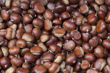 chestnuts