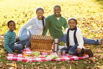 Young smiling family doing a picnic
