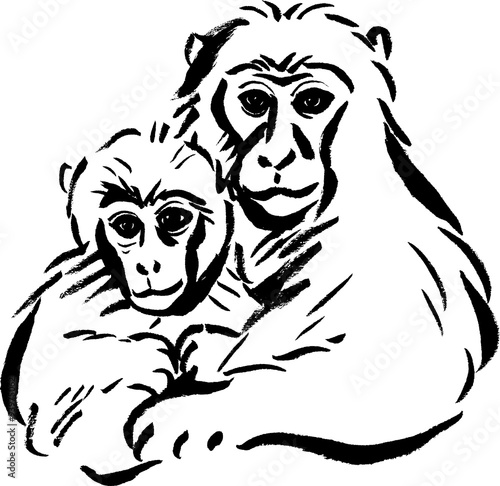 すべての動物の画像 最高猿 イラスト 白黒