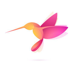 Hummingbird in flight volume character in vector