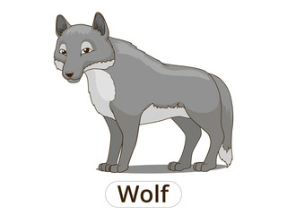 Forest animal wolf cartoon vector illustration