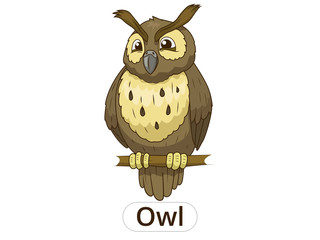 Forest owl bird cartoon  vector illustration