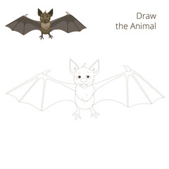 Draw the forest animal bat cartoon 